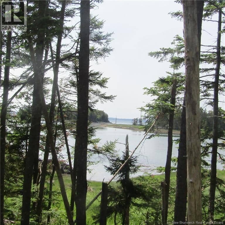 39 Meadowbrook Lane — photo 12 of 23