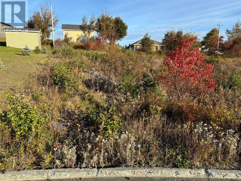 4 Chelsea Place, Bay Roberts, photo 3
