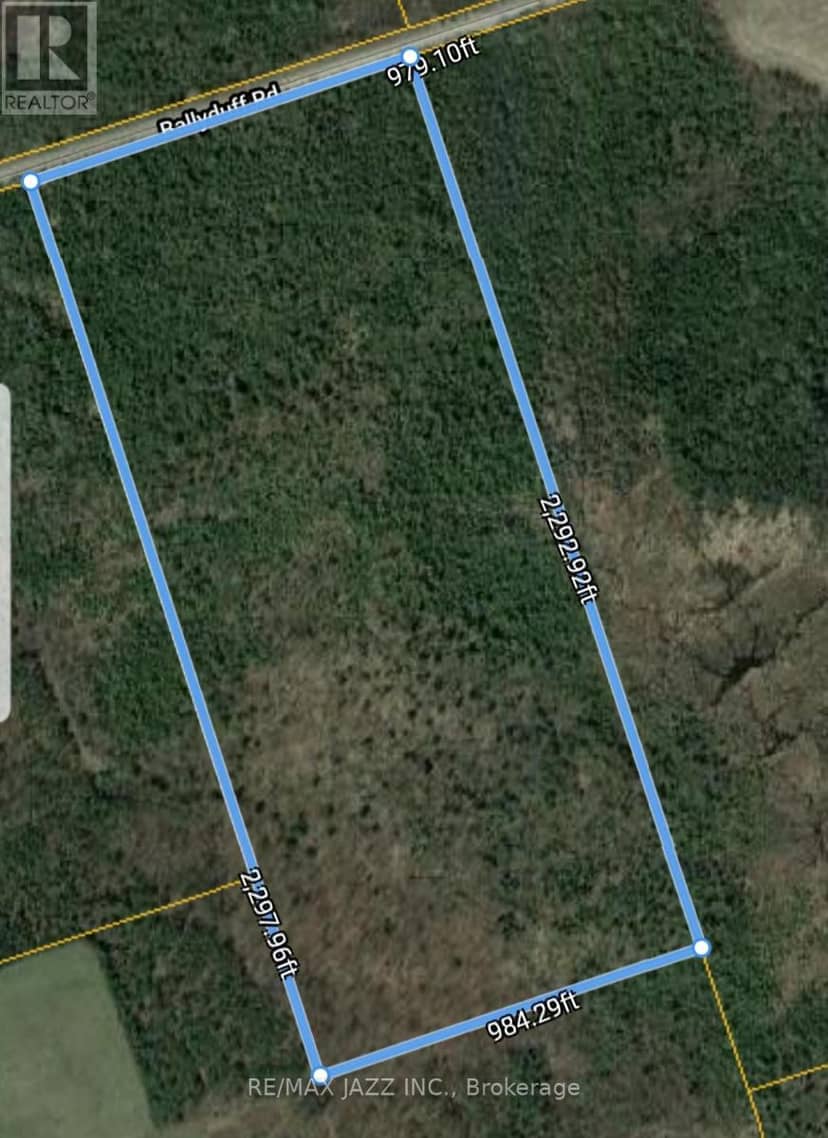 0 Ballyduff Road, Kawartha Lakes, photo 2