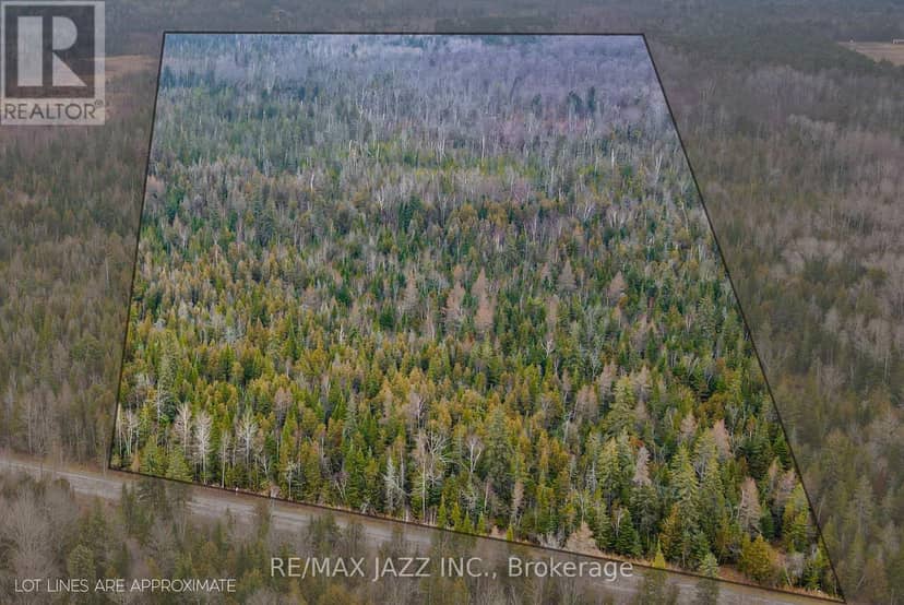 0 Ballyduff Road, Kawartha Lakes, photo 7