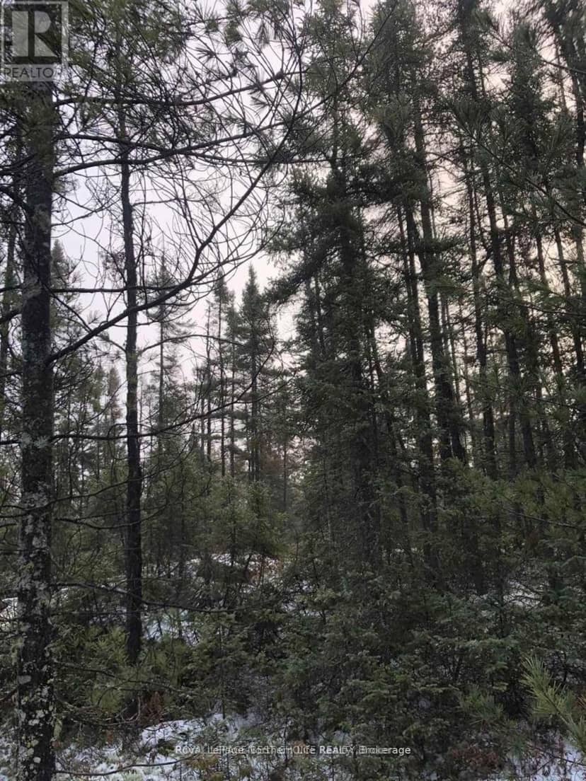 Con 3 Pt Lot 25, Coleman, photo 7