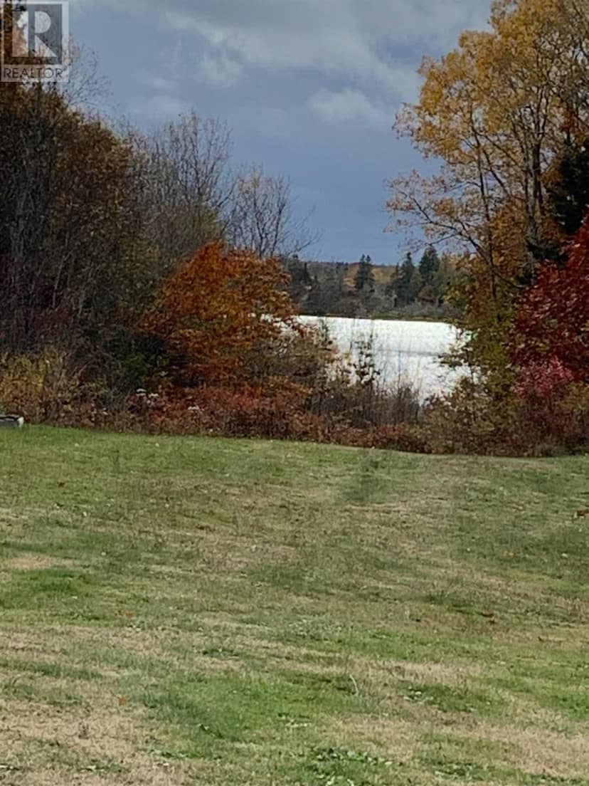 126 Belleville South Road — photo 7 of 19