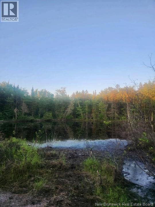 37.8 Hec Bettsburg Road — photo 1 of 19