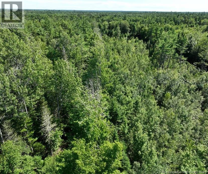 37.8 Hec Bettsburg Road — photo 19 of 19