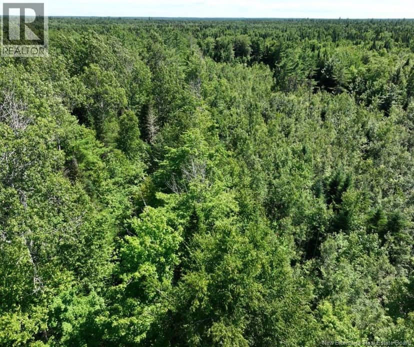 37.8 Hec Bettsburg Road — photo 16 of 19