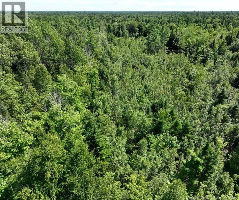 37.8 Hec Bettsburg Road — photo 17 of 19