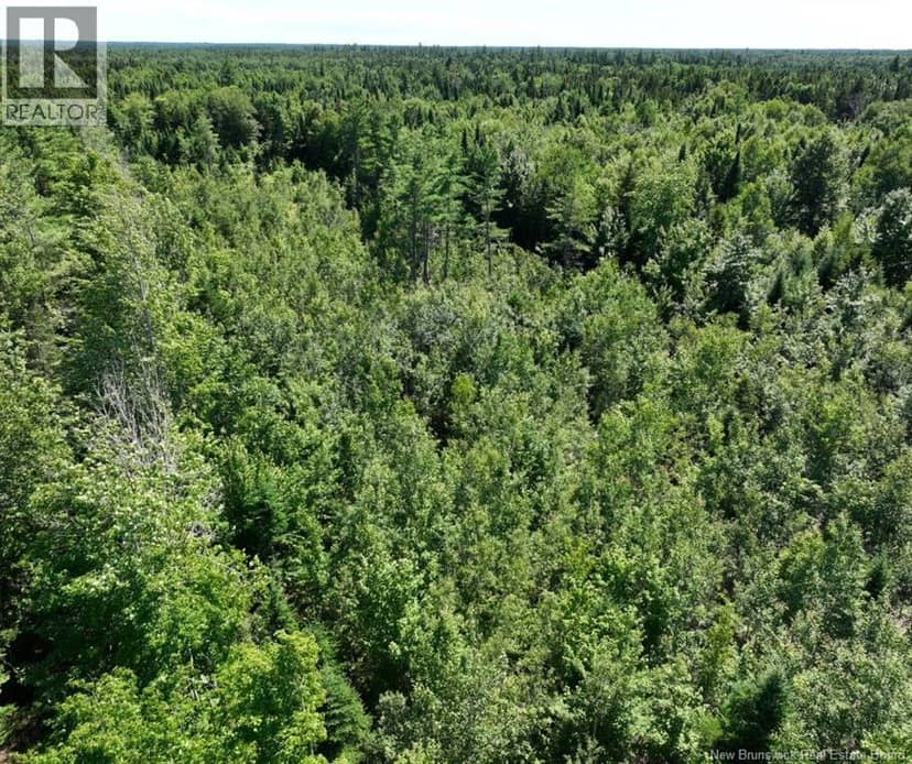 37.8 Hec Bettsburg Road — photo 18 of 19
