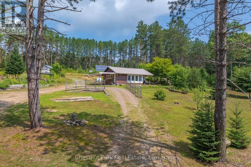 165 James Camp Road, Ryerson, photo 8