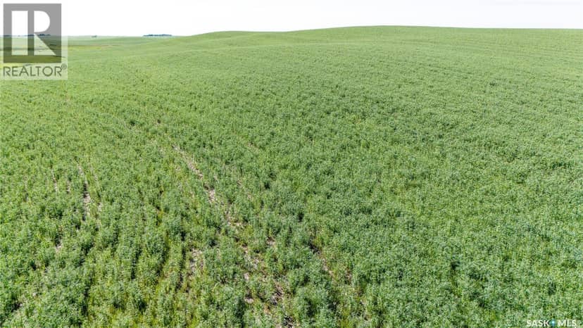 7 Quarters Grainland Near Coderre (Strieb) — photo 10 of 20