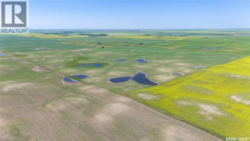 7 Quarters Grainland Near Coderre (Strieb) — photo 11 of 20