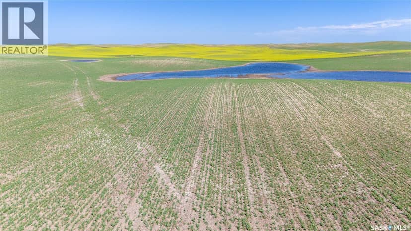 7 Quarters Grainland Near Coderre (Strieb) — photo 12 of 20