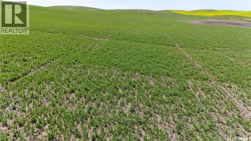 7 Quarters Grainland Near Coderre (Strieb) — photo 13 of 20