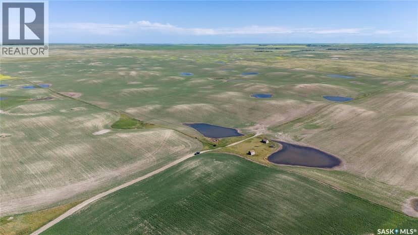 7 Quarters Grainland Near Coderre (Strieb) — photo 16 of 20