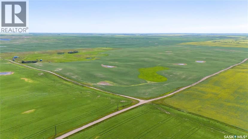 7 Quarters Grainland Near Coderre (Strieb) — photo 3 of 20