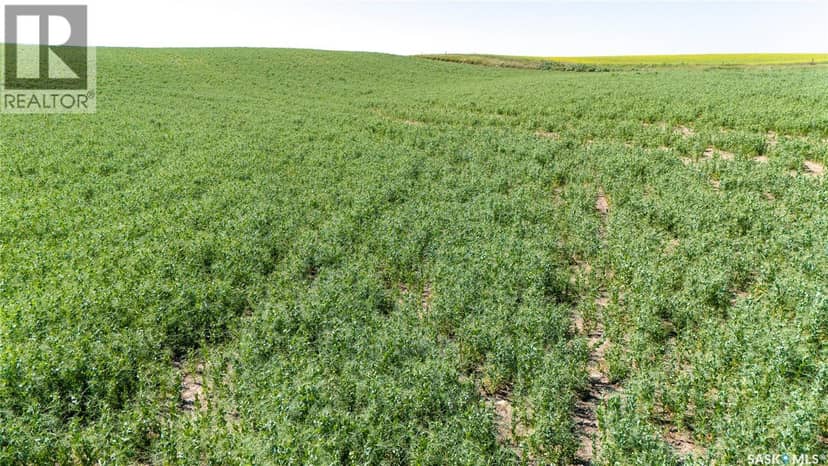7 Quarters Grainland Near Coderre (Strieb) — photo 4 of 20
