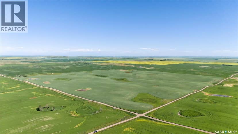 7 Quarters Grainland Near Coderre (Strieb) — photo 7 of 20