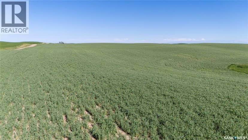 7 Quarters Grainland Near Coderre (Strieb) — photo 8 of 20