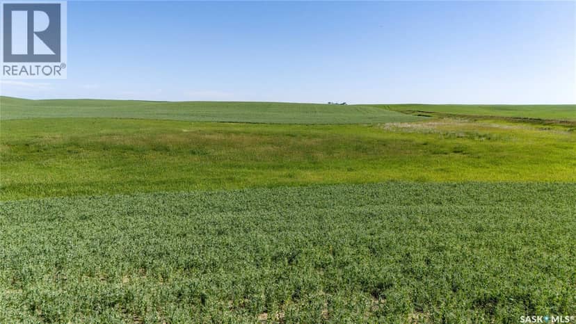 7 Quarters Grainland Near Coderre (Strieb) — photo 9 of 20