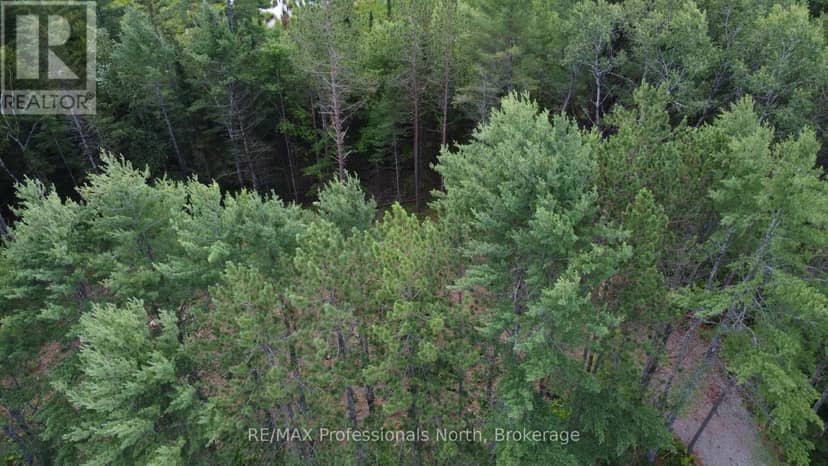 1075 Kushog Lake Road — photo 15 of 23