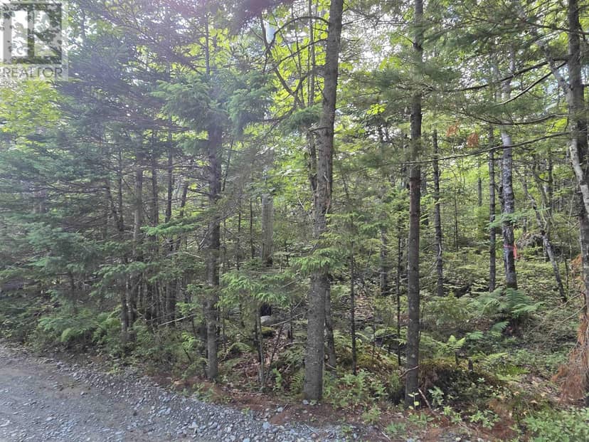 Lot 15 Lake Drive, Port Mouton, photo 4