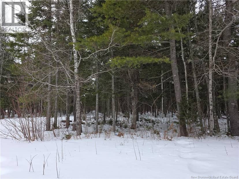 534 Cormier Village Bye Road — photo 27 of 39