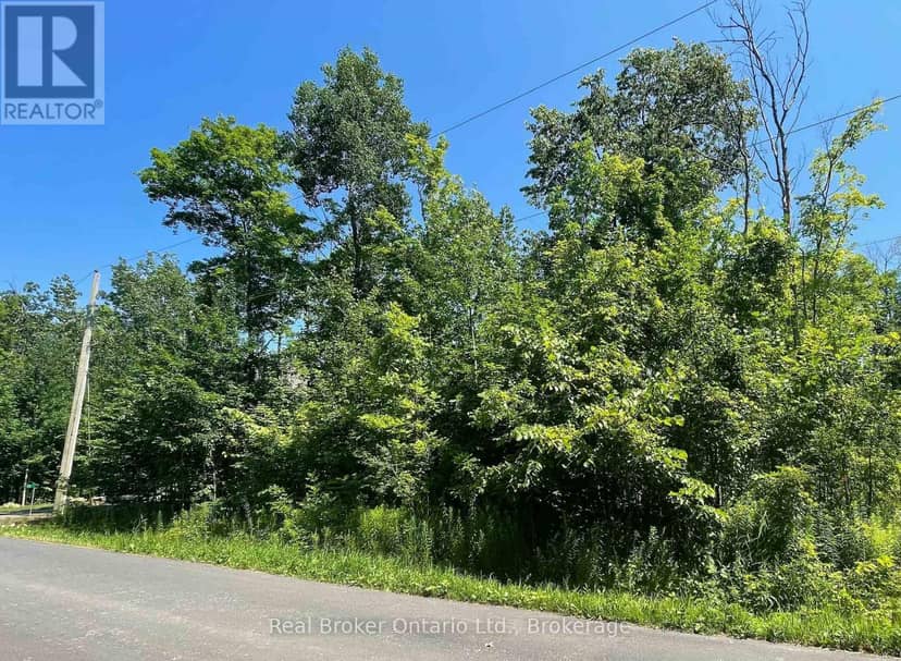 71 Wozniak Road — photo 4 of 11
