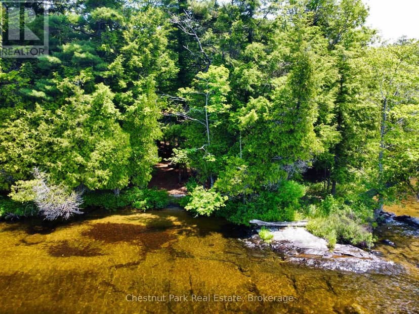 1 Cedar Island — photo 18 of 22
