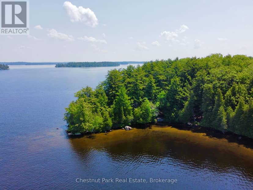 1 Cedar Island — photo 20 of 22