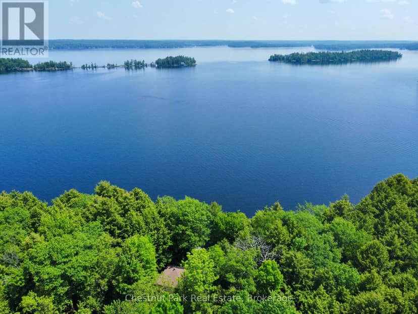 1 Cedar Island — photo 9 of 22