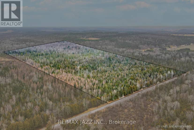 0 Ballyduff Road, Kawartha Lakes, photo 4