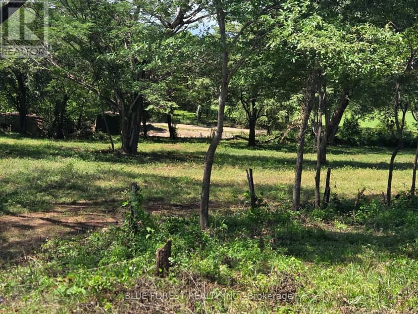 Lot 29 Belen — photo 3 of 14