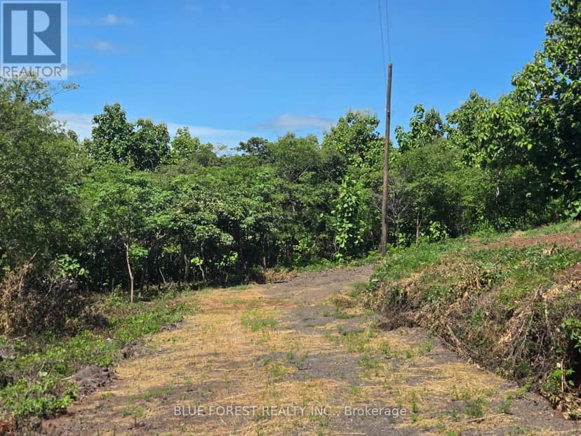 Lot 29 Belen — photo 5 of 14