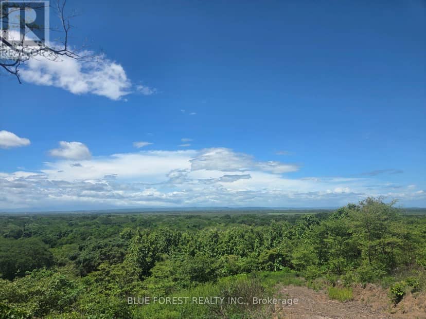 Lot 29 Belen — photo 8 of 14