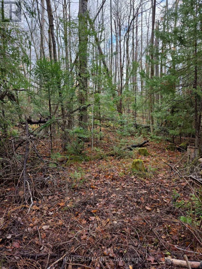 Pt Lt 3 Concession 8 Pt 123, Trent Hills, photo 2