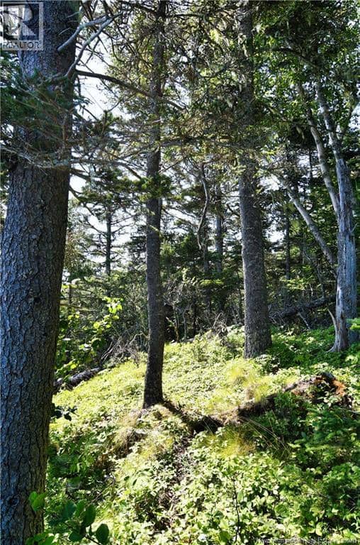 Lot 86-312 Fundy Drive — photo 12 of 14