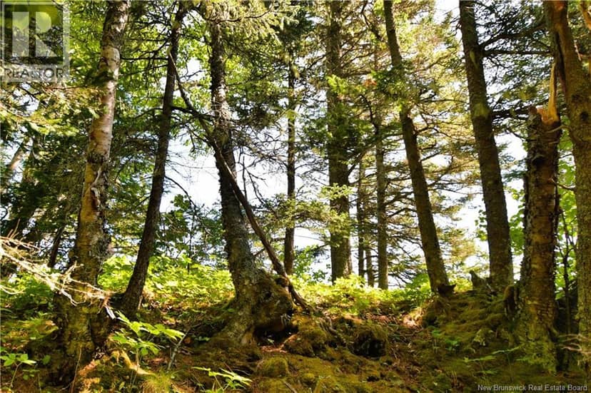Lot 86-312 Fundy Drive — photo 13 of 14