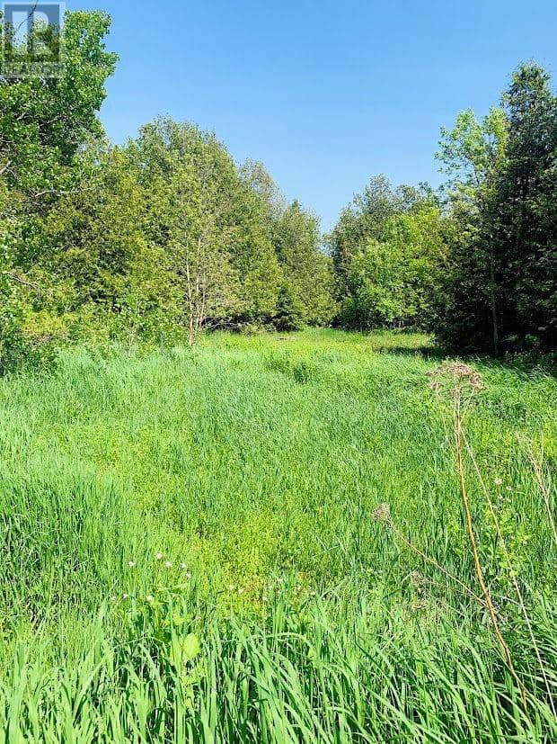 PL23-24C3 Mills Indian Point Road — photo 14 of 19