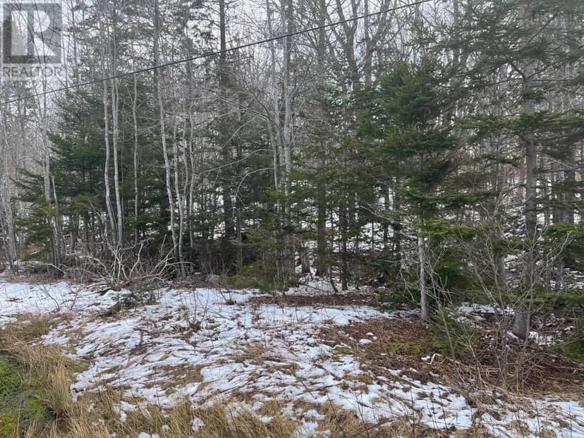 Kempt Head Road — photo 5 of 5