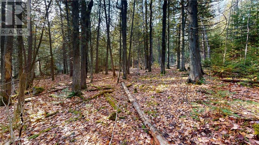 7 Sandy Point — photo 12 of 30