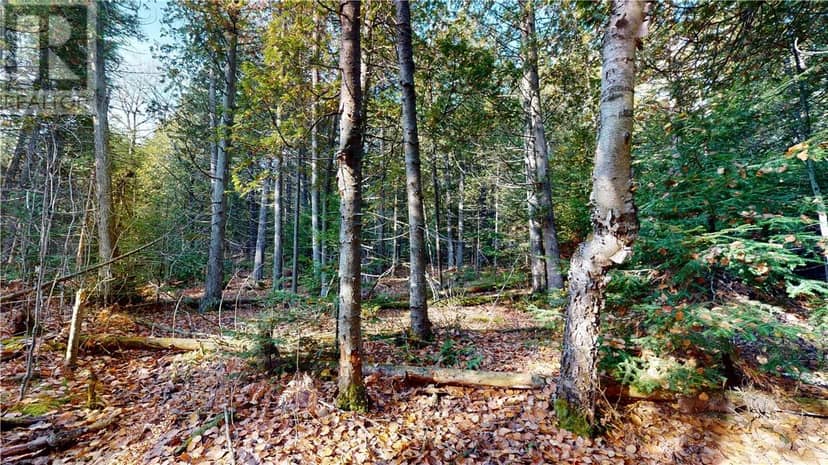 7 Sandy Point — photo 14 of 30
