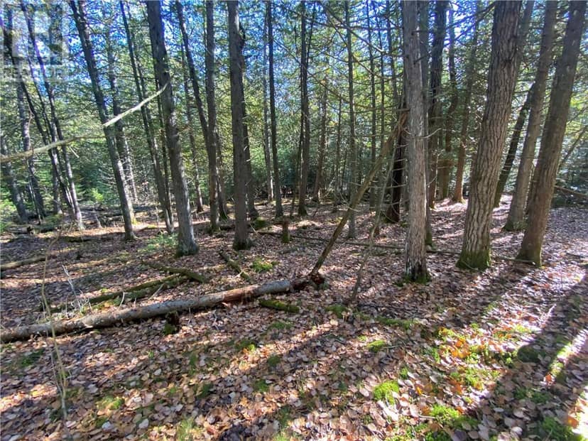 7 Sandy Point — photo 16 of 30