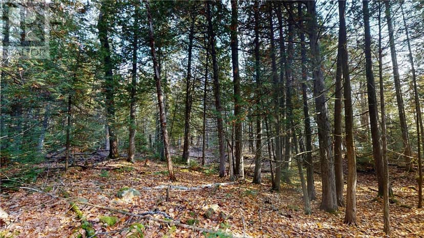 7 Sandy Point — photo 9 of 30