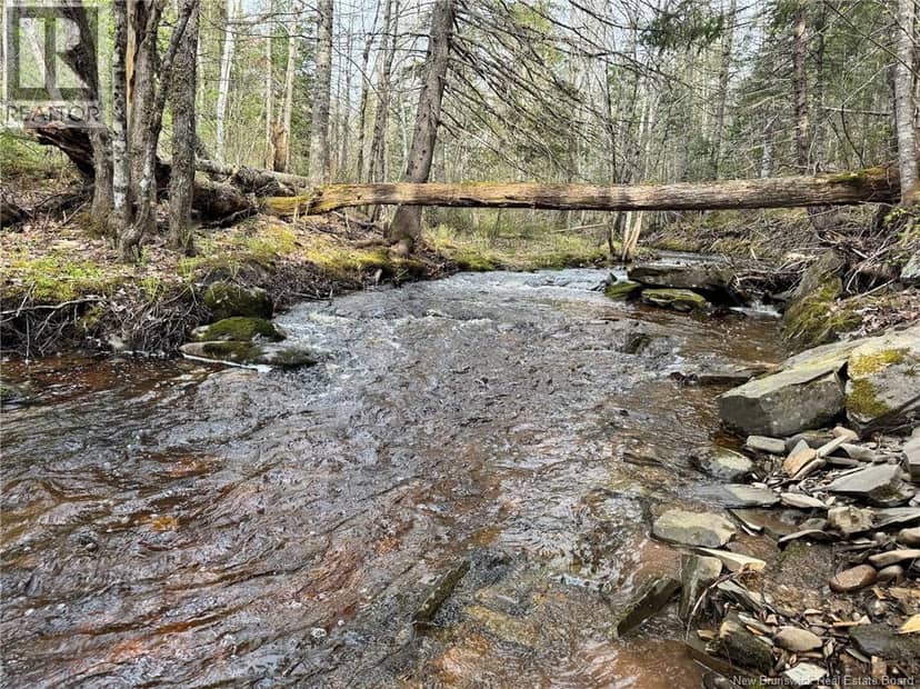 Lot Sand Brook Road — photo 11 of 22