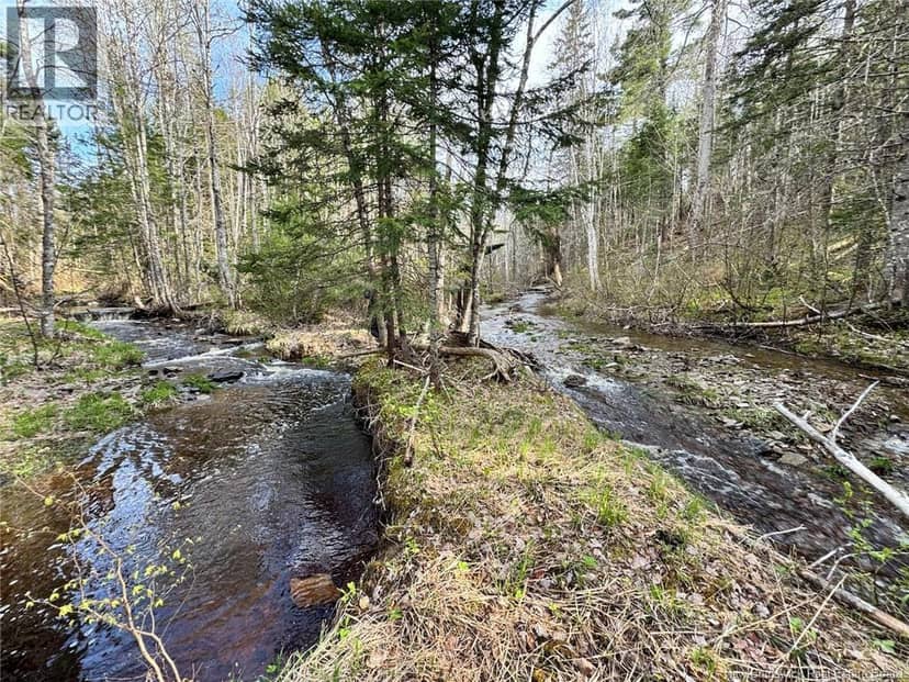 Lot Sand Brook Road — photo 13 of 22