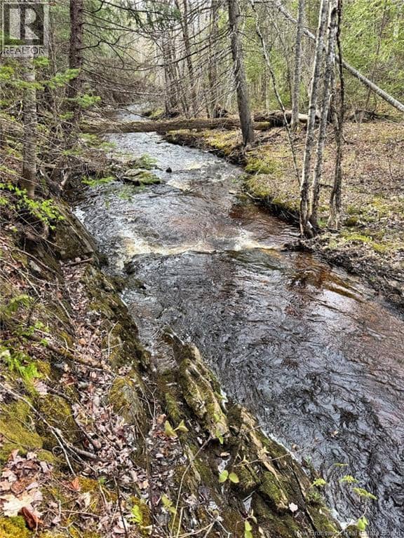 Lot Sand Brook Road — photo 15 of 22