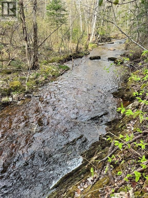 Lot Sand Brook Road — photo 16 of 22