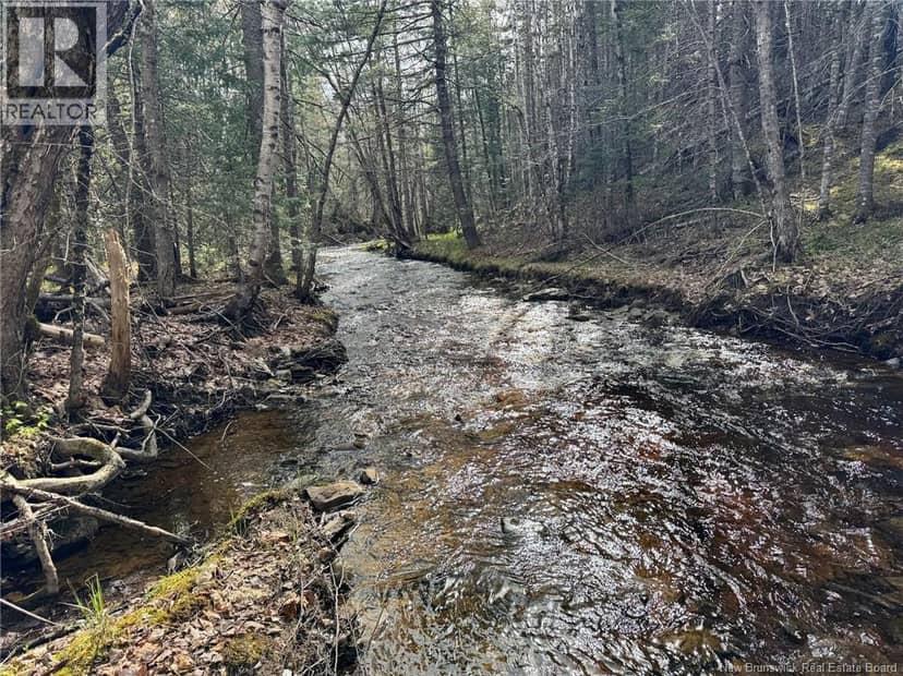 Lot Sand Brook Road — photo 17 of 22