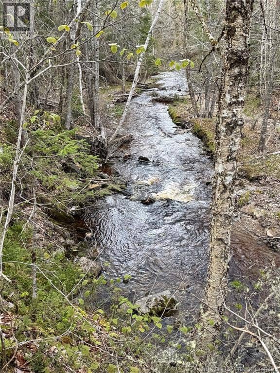 Lot Sand Brook Road — photo 18 of 22