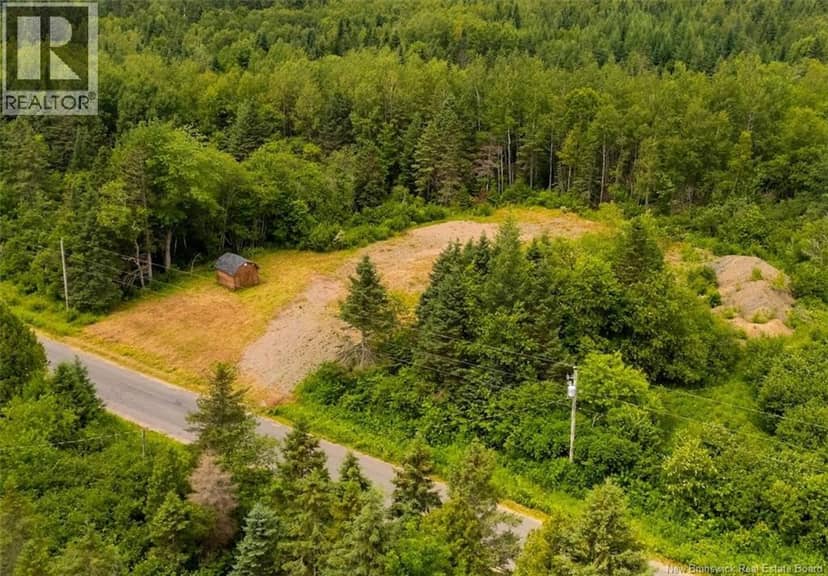 Lot Sand Brook Road, Hoyt, photo 4