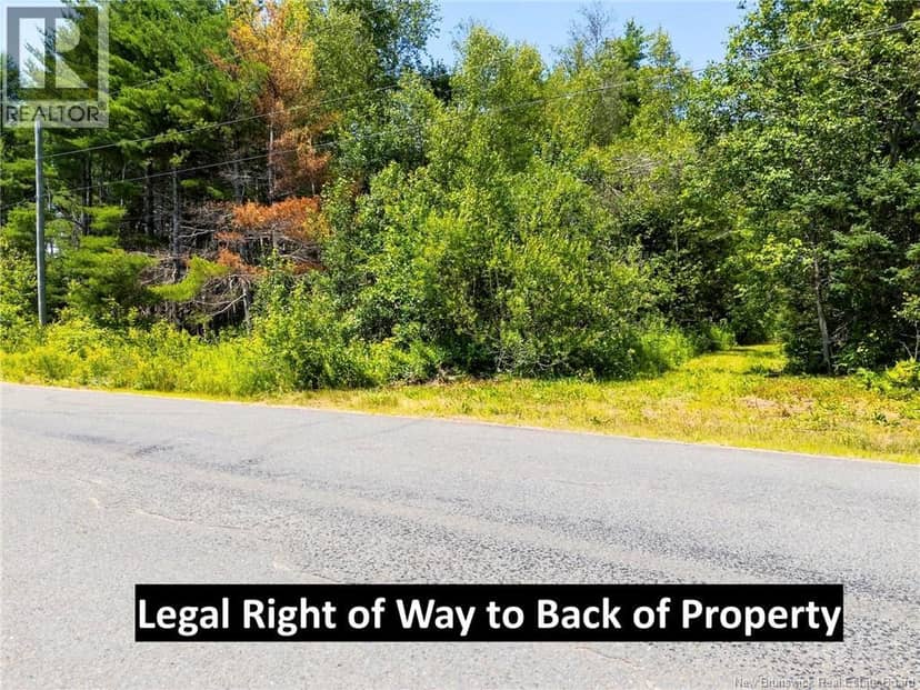 Lot Sand Brook Road, Hoyt, photo 7